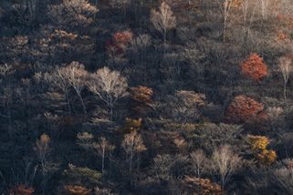 krajskelisty.cz/ustecky-kraj/34049-zapad-slunce-nad-vychodem-nemecka-komentar-stepana-chaba.htm